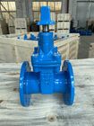 BS5163 Type B PN10 PN16 Resilient Seated Gate Valve