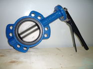 Integral Gluing Cast Iron Butterfly Valves Precise Geometric Size Reliable Sealing