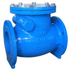 Blue Grey BS 5163 Ductile Iron Check Valve Swing Type Check Valve