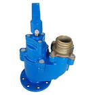 DN80 Blue Fire Hydrant BS 750  Small Flow Resistance  Convenient Maintenance