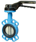 SS304 D71XPN16 Soft Seal Center Line Wafer Type Butterfly Check Valve