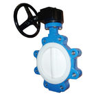 DN300 Resilient PTFE PFA FEP Seated PN16 Wafer Butterfly Valve