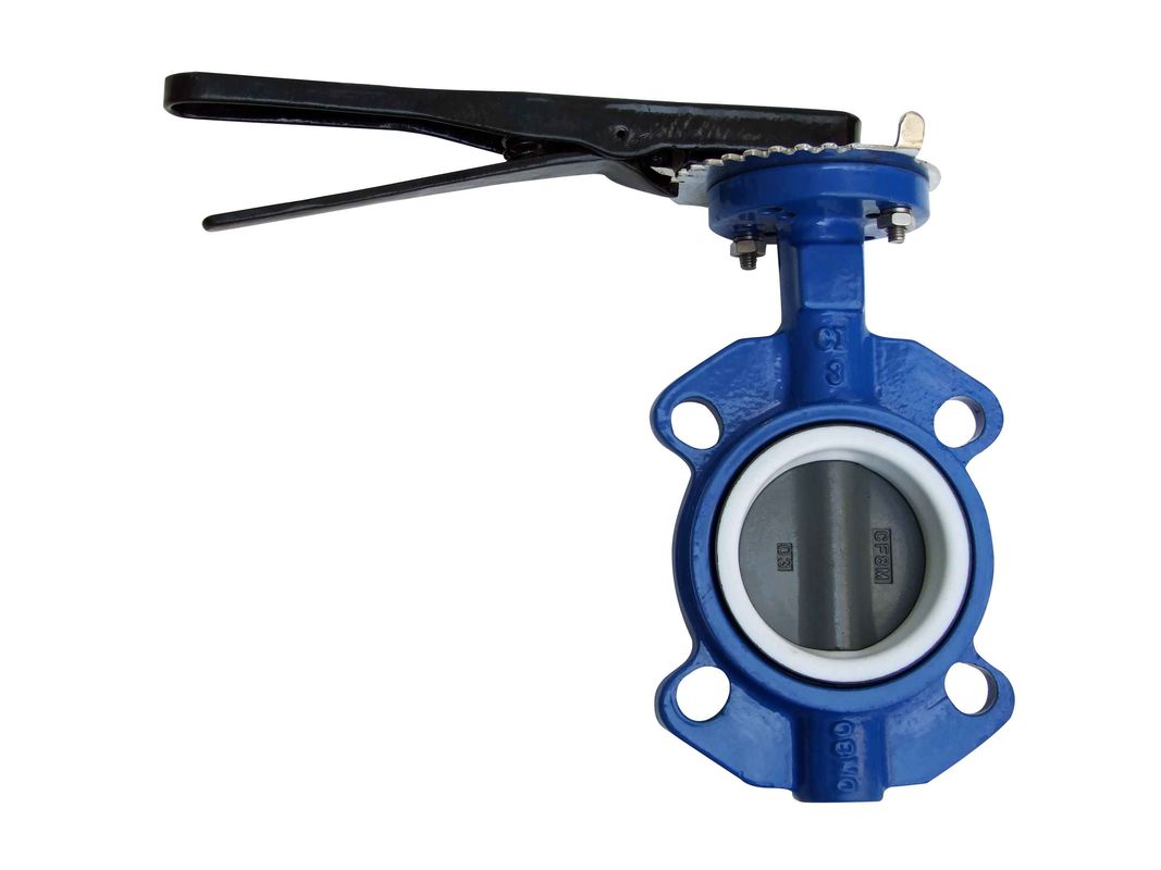 Blue Wafer Butterfly Valve 125 Lbs Rust Proof Long Working Life