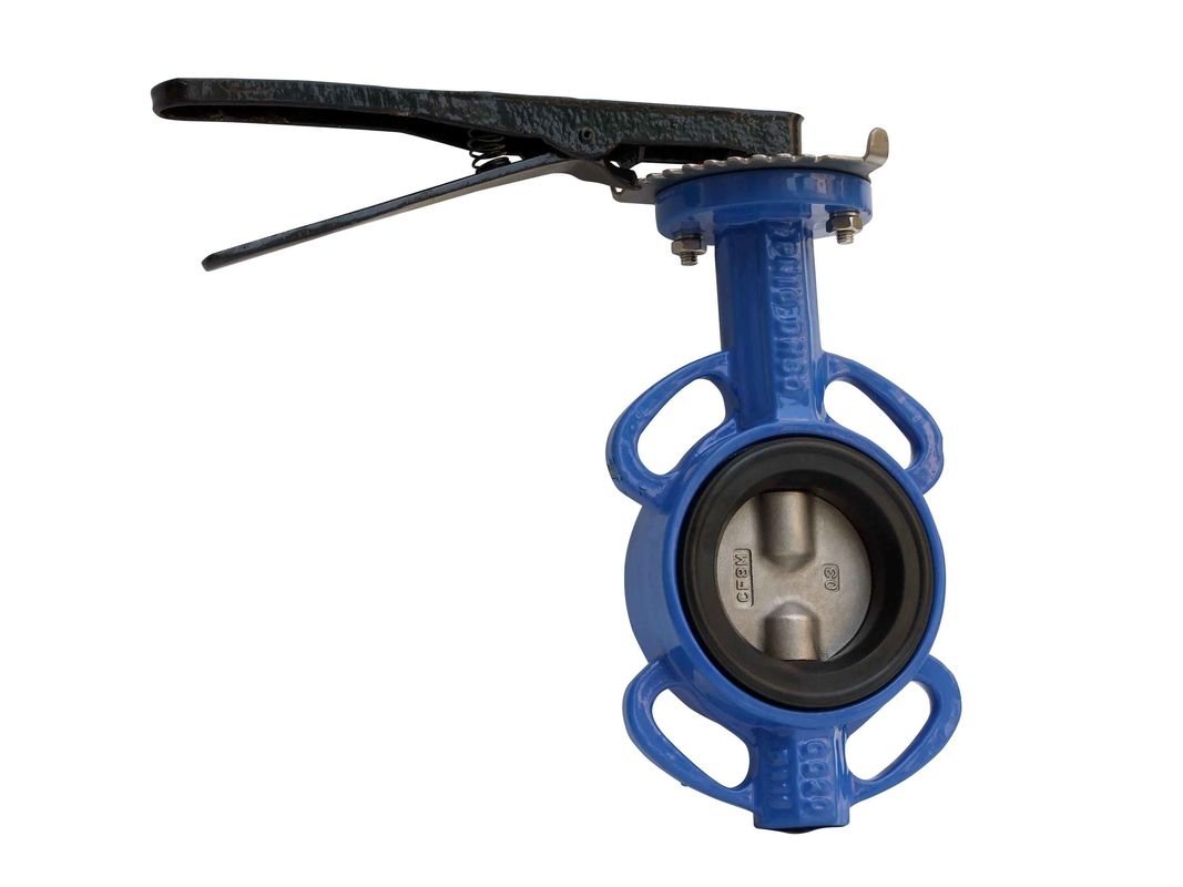 Double Shaft Ductile Iron Butterfly Valve Flat Bottomed Seat Reliable Sealing
