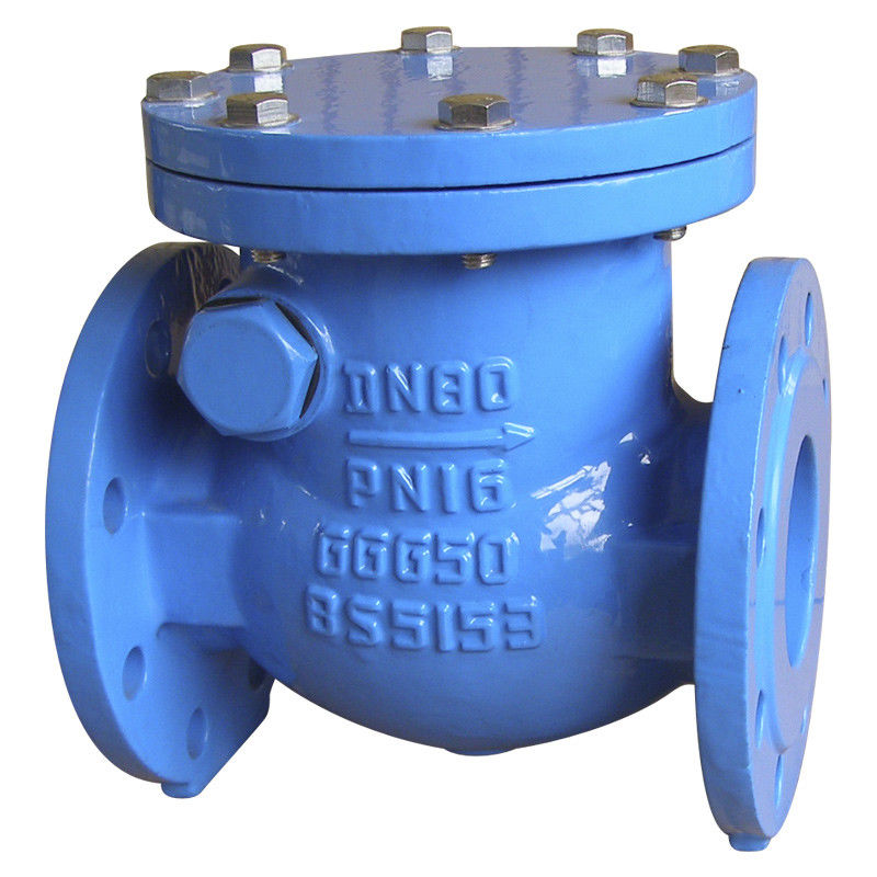 Blue Grey BS 5163 Ductile Iron Check Valve Swing Type Check Valve